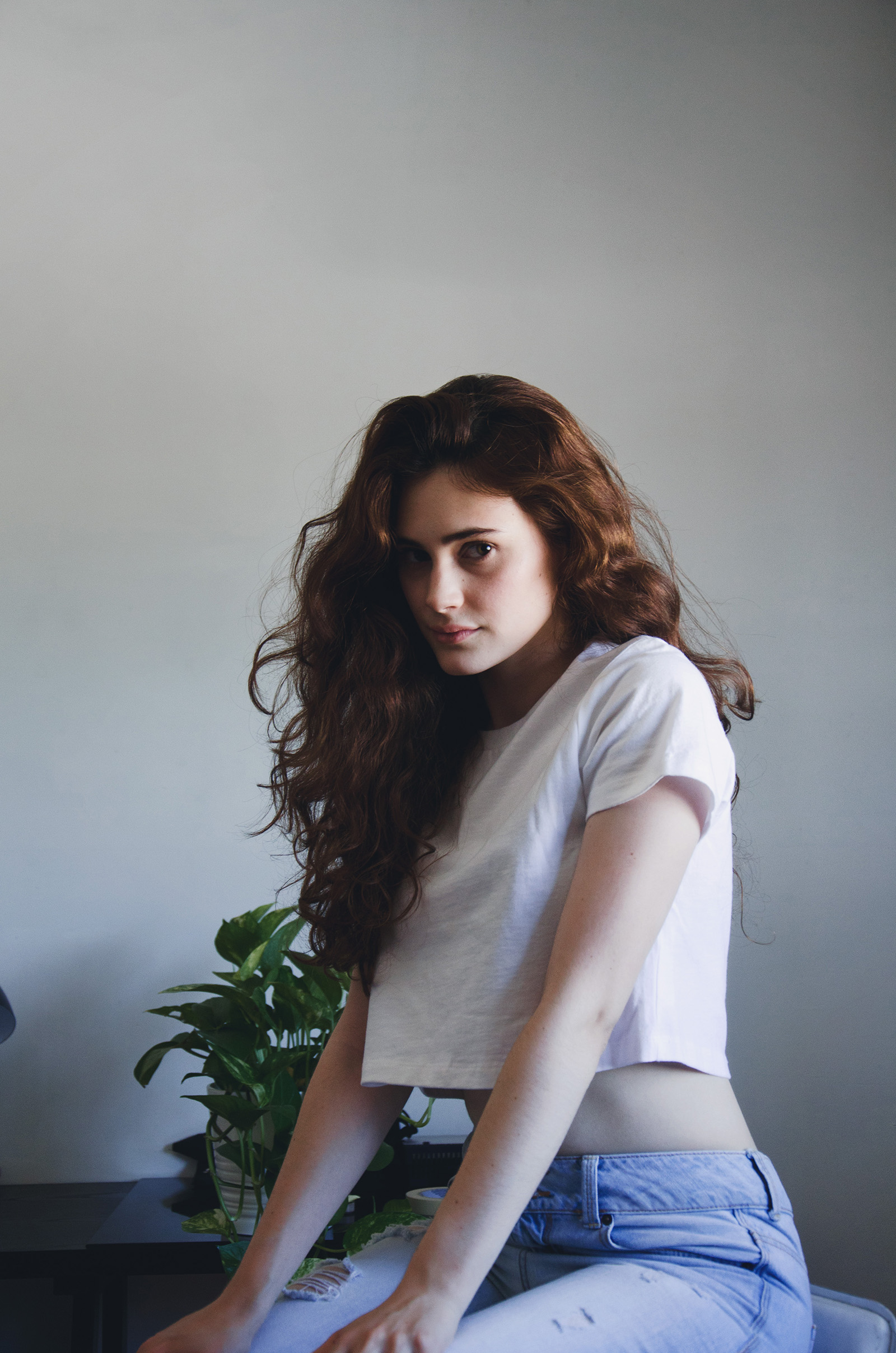 Sofia Renee a model with wavy brown hair sits against a plain wall wearing a white crop top and blue ripped jeans. She gazes intently at the camera with a potted plant beside her on a black table.